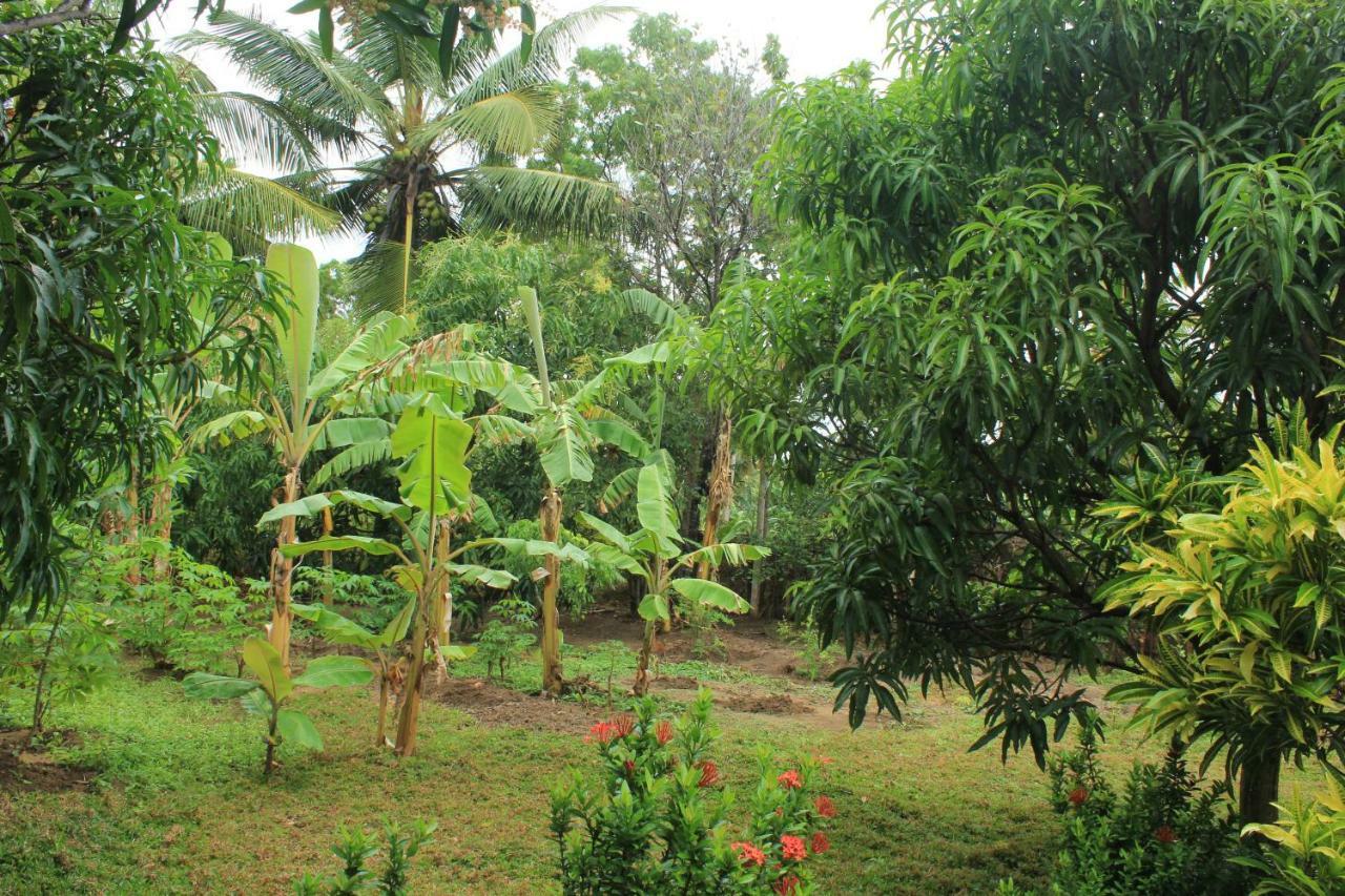 Nature Night Homestay Sigiriya Exterior photo