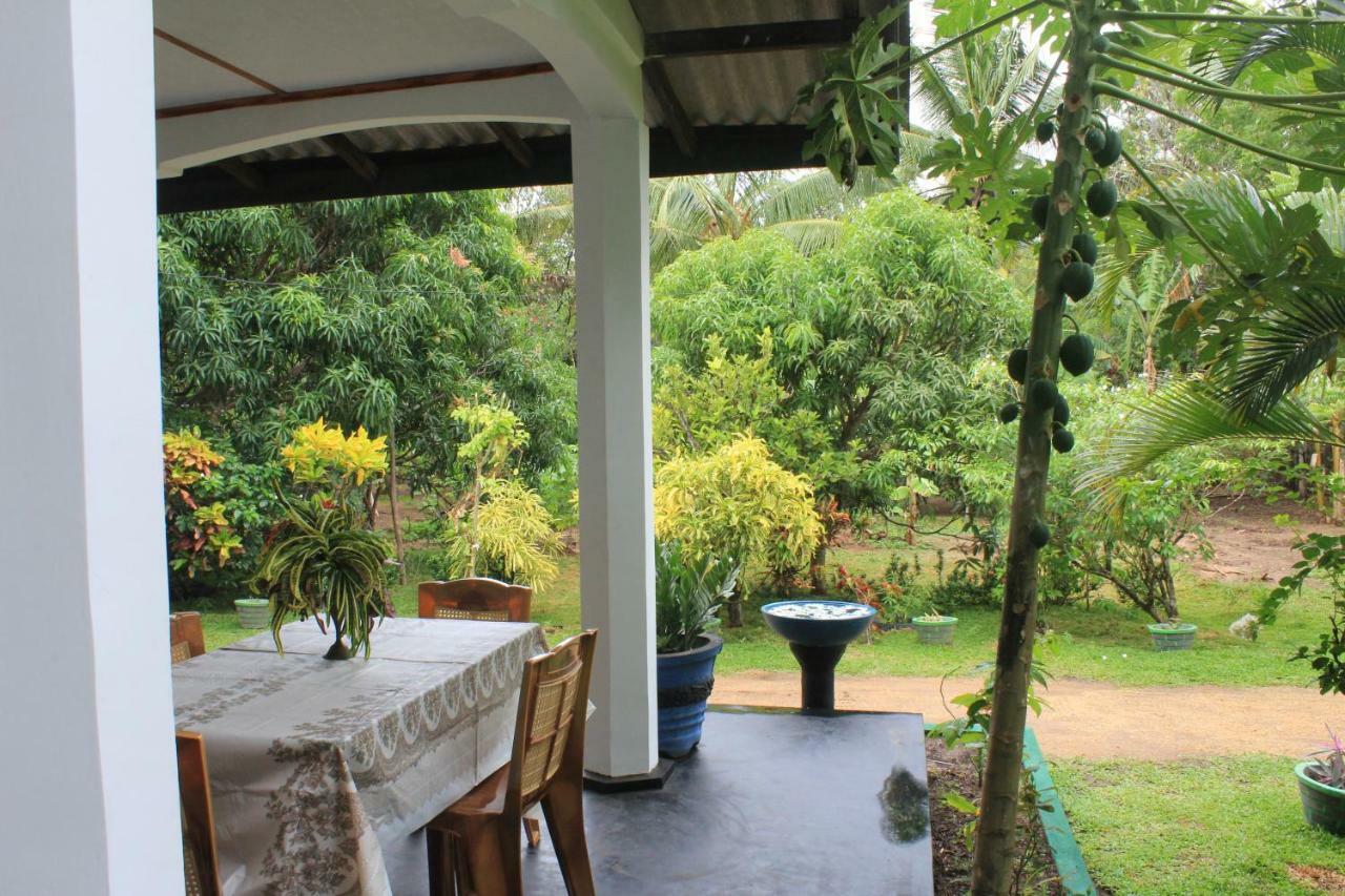 Nature Night Homestay Sigiriya Exterior photo